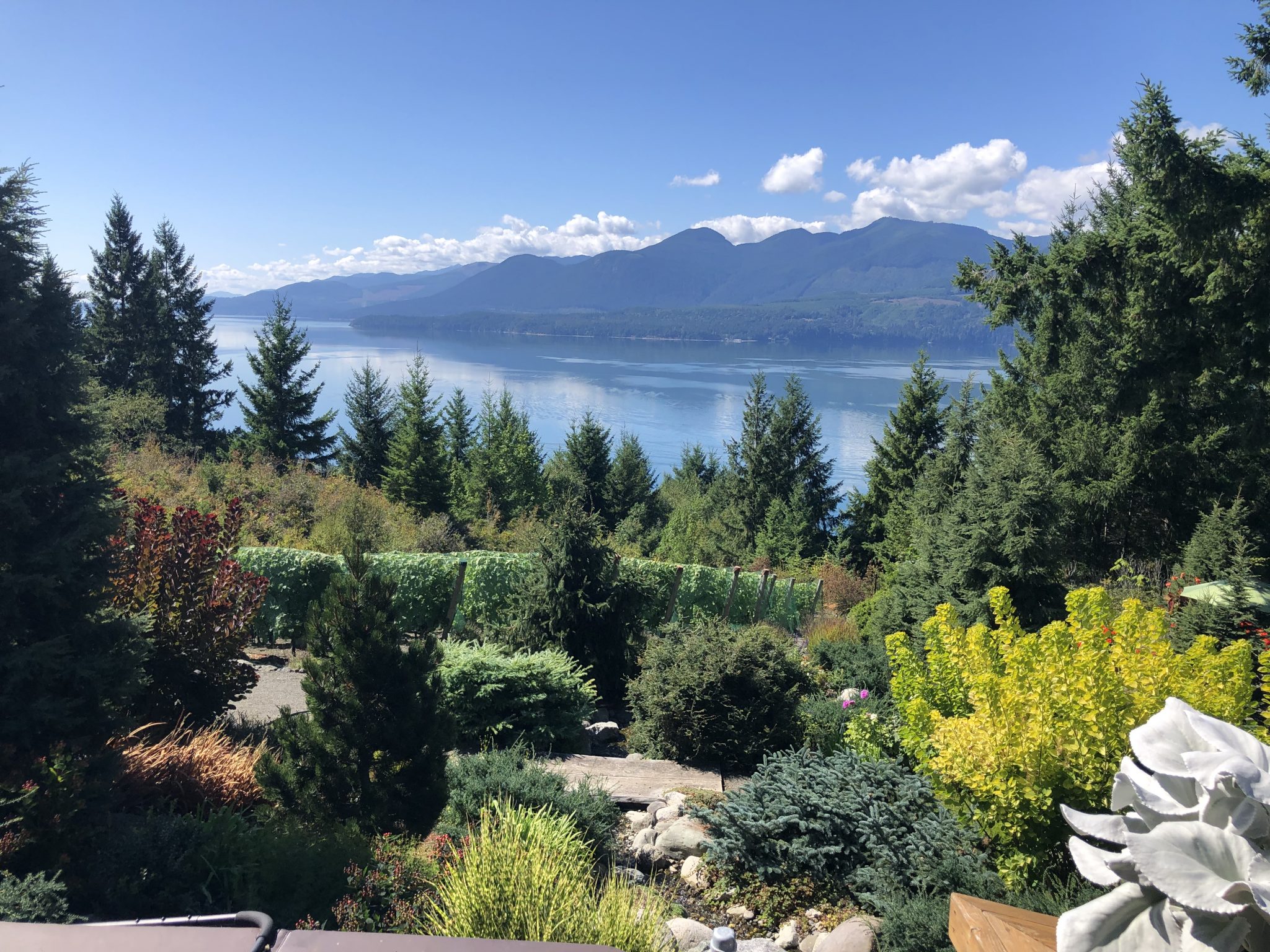 My Visit to the Lush and Lovely Naylor Creek Vineyard Karen Best